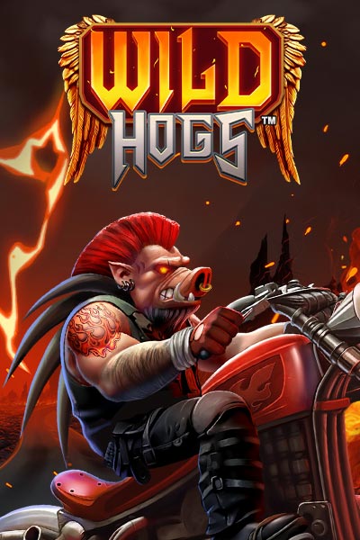 Wild Hogs